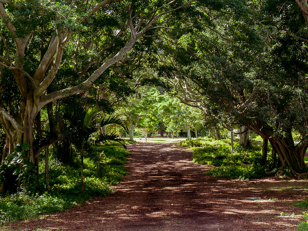 Hawaii