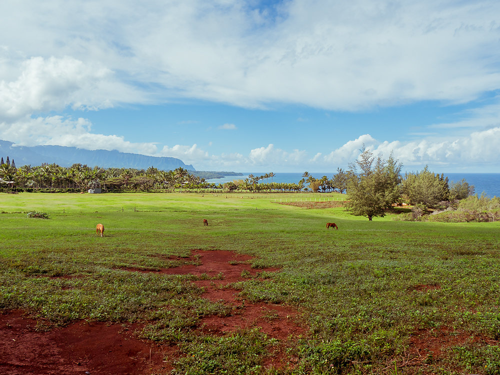 Hawaii