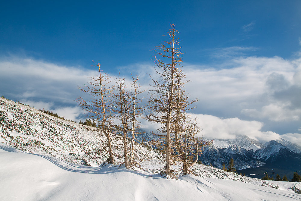 Canada, Alberta, Kananaskis Country